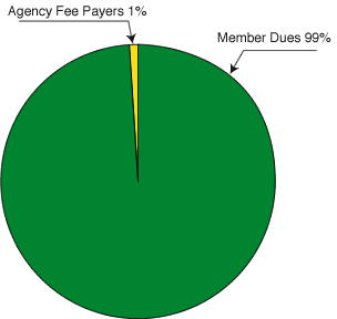 Income Pie Chart